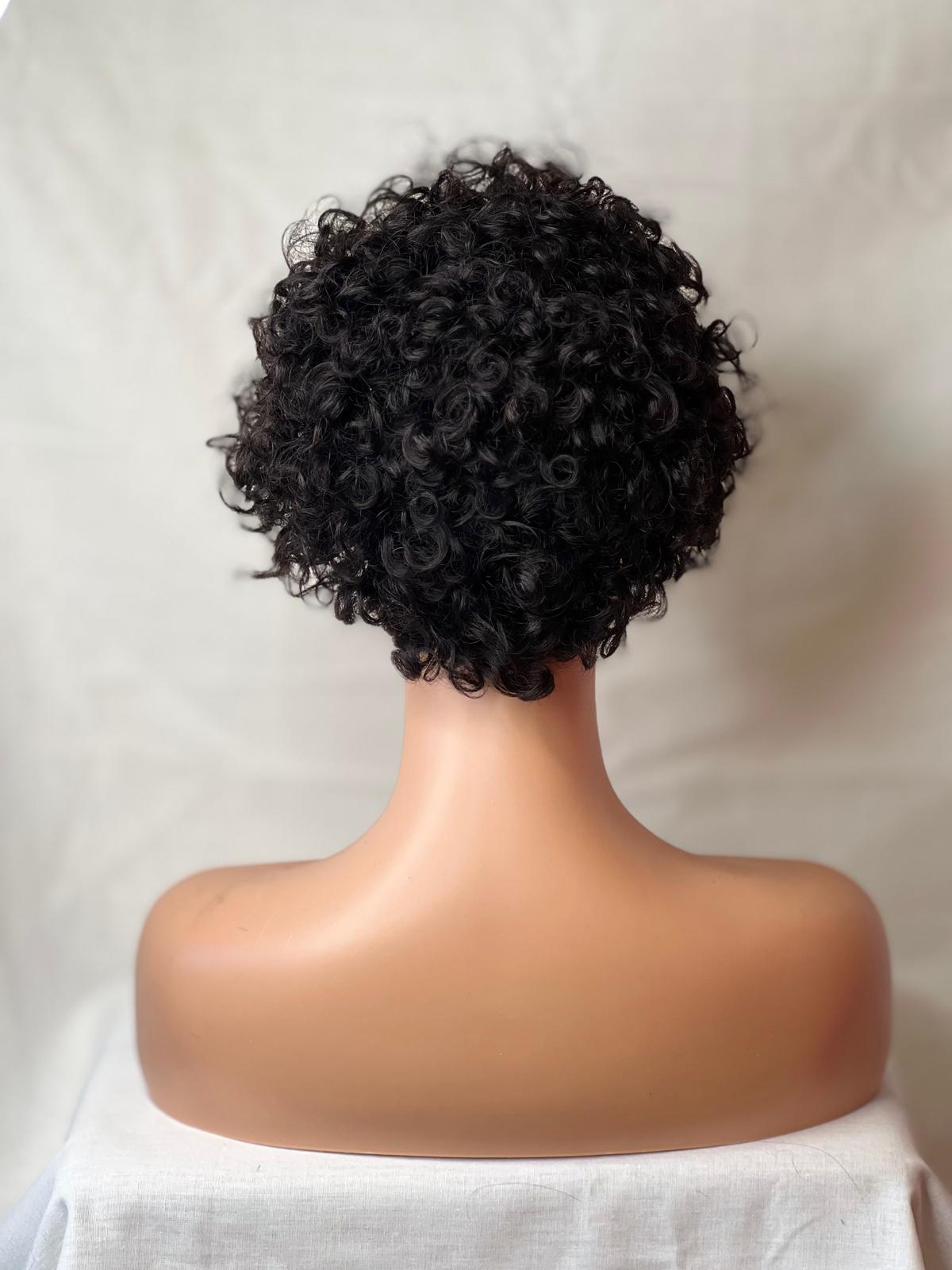 Curly Afro Wig