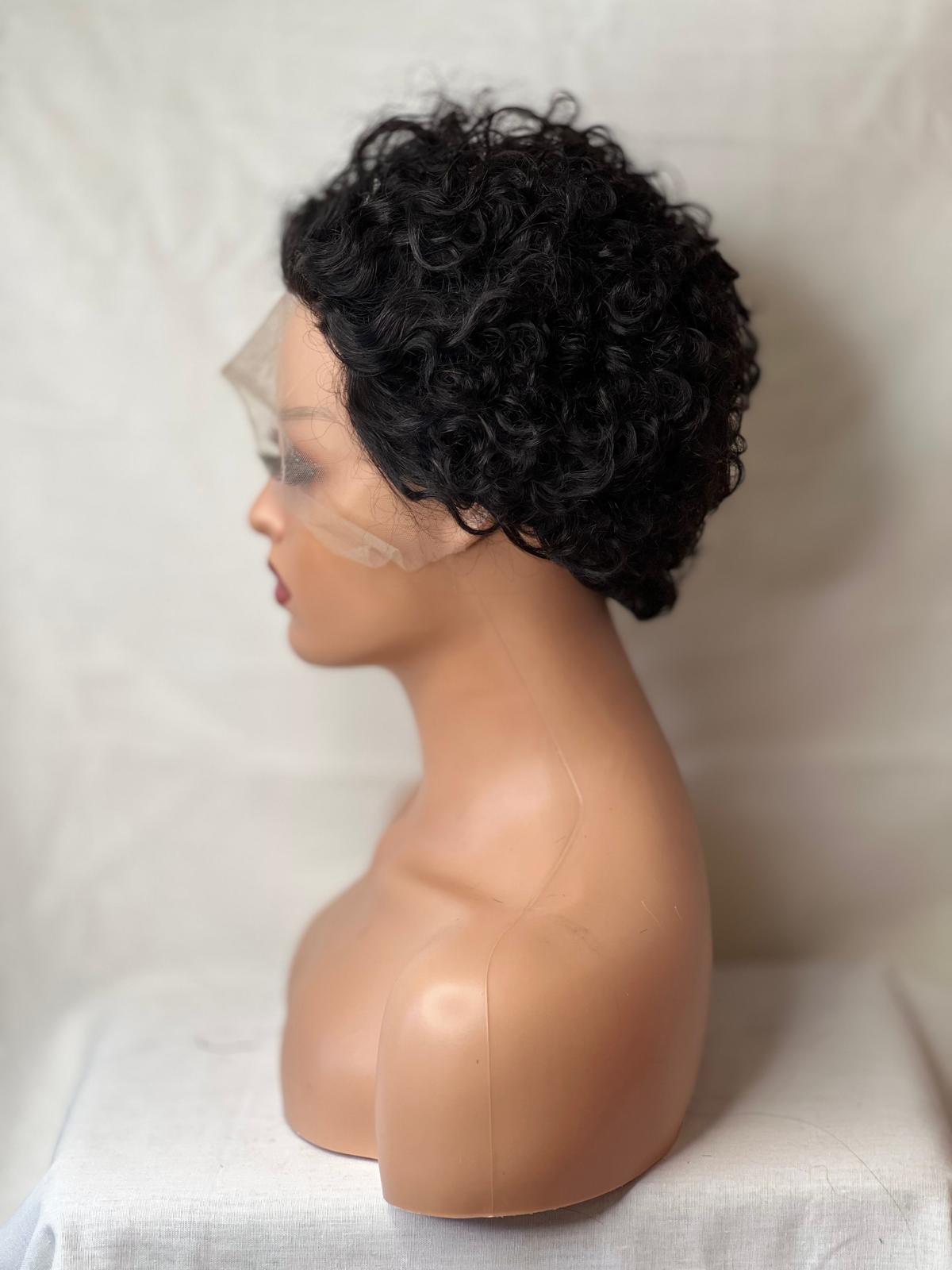 Curly Afro Wig