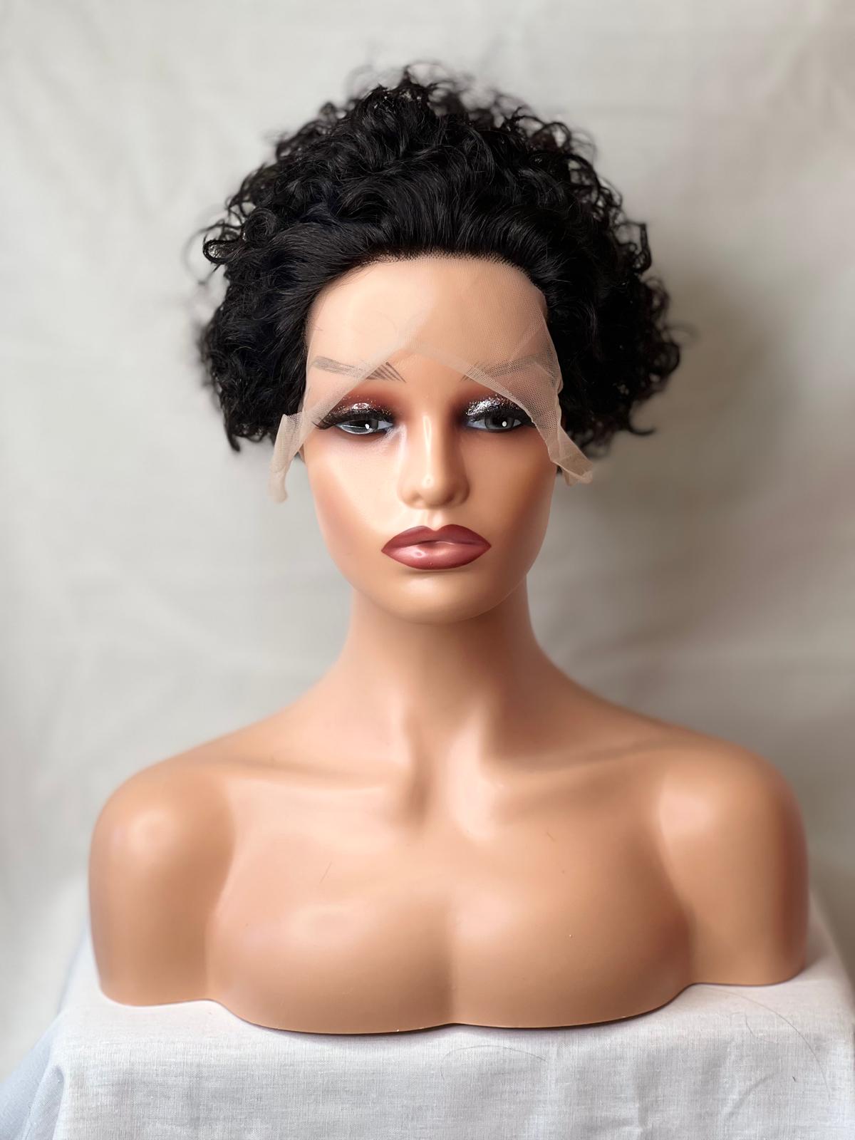 Curly Afro Wig
